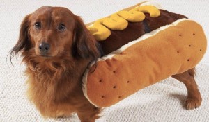 best-halloween-costumes-2013-for-dogs-ideas-hot-dog2[1]