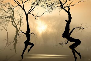 dancing-trees-igor-zenin